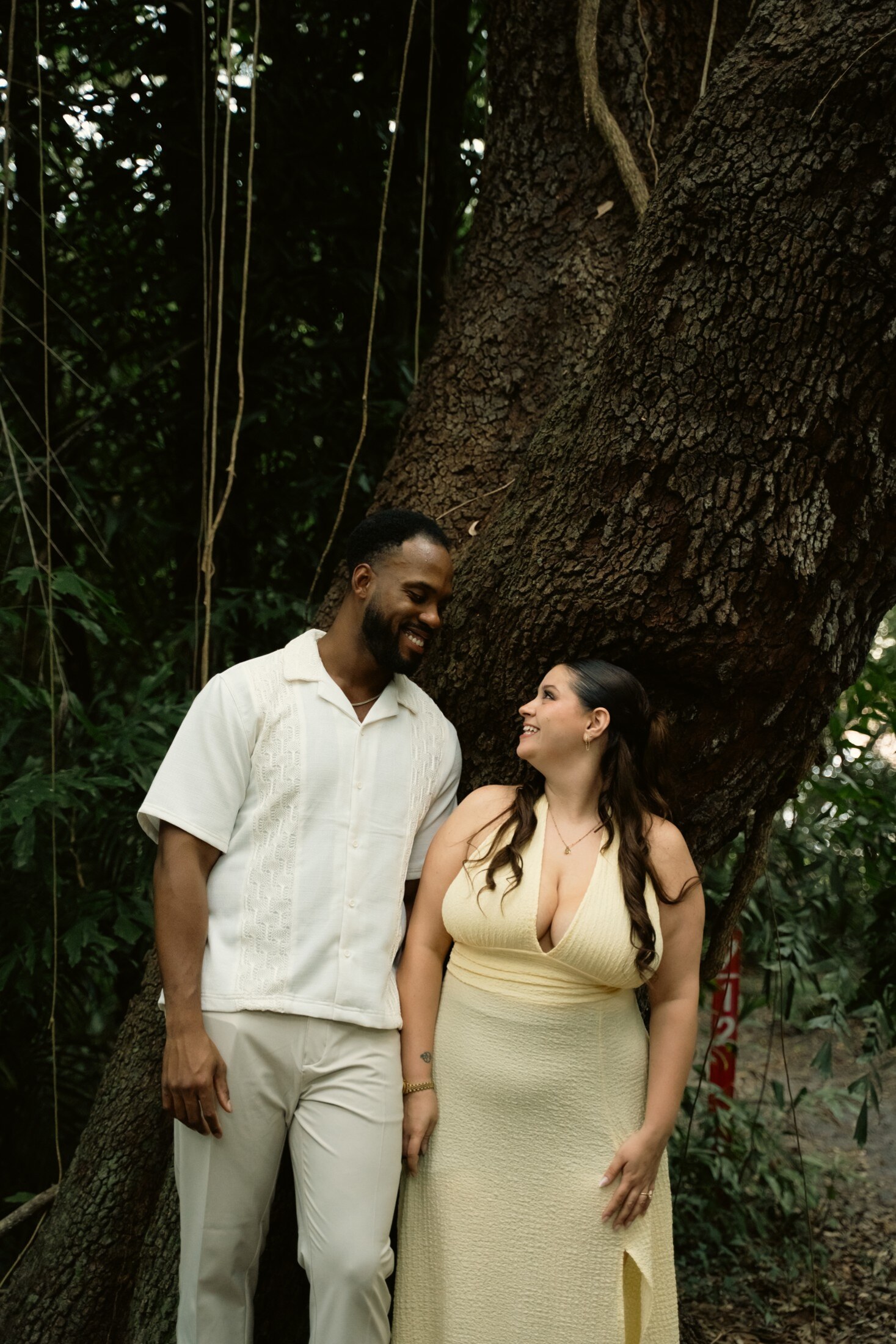 Couple beneath an old tree before the ceremony